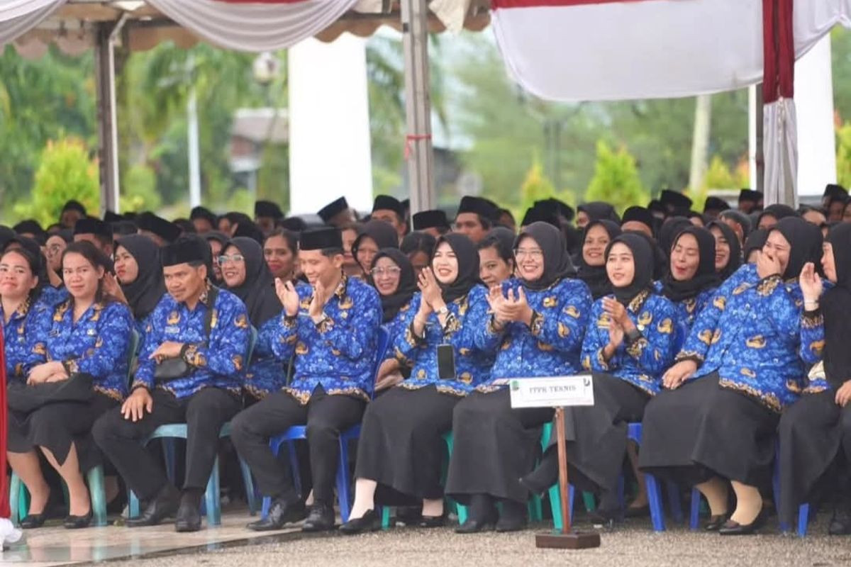 p3k2.jpg