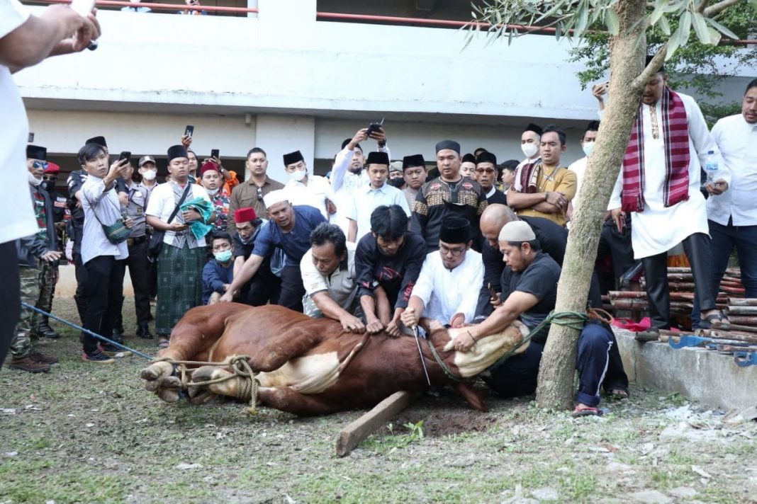 Wakil Wali Kota Tangerang Selatan Pilar Saga Ichsan ikut menyembelih hewan kurban di Iduladha 1443H 