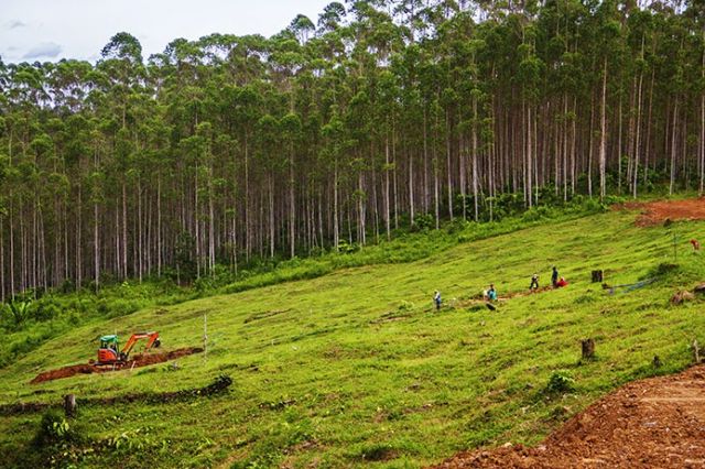 Kementerian ATR/BPN Bantah Tanah di IKN Nusantara Naik 10 Kali Lipat